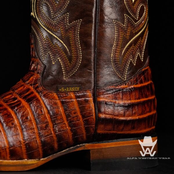 Cinch hot sale caiman boots