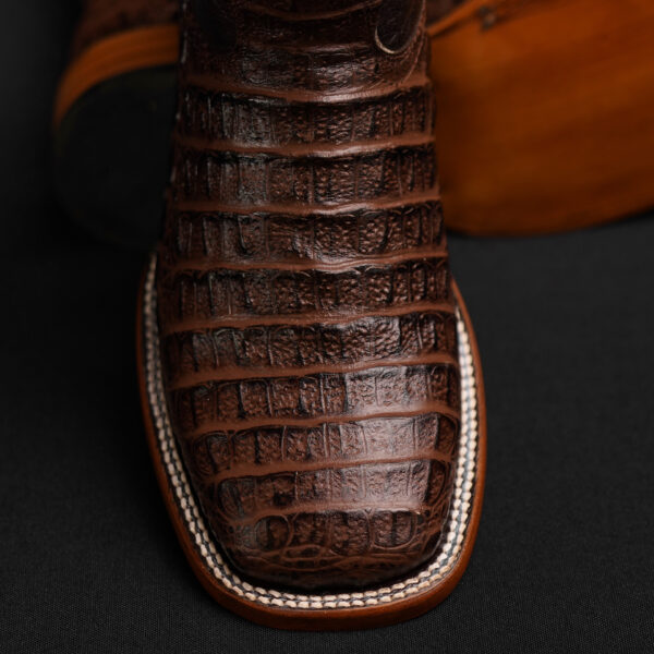 Brown Caiman Horn Back - Square Toe