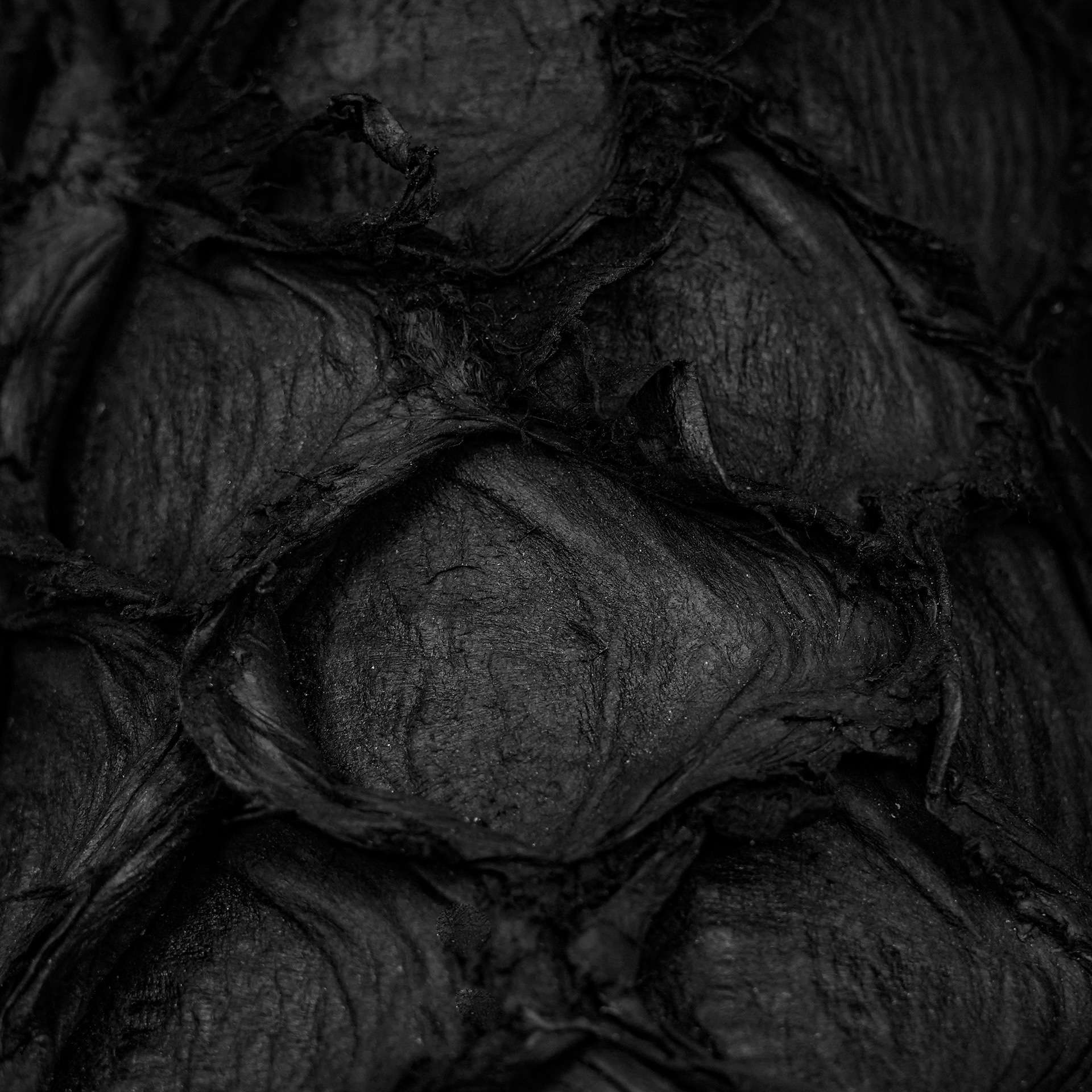 AUTHENTIC Matte Black Pirarucu – Arena Square Toe - Image 4