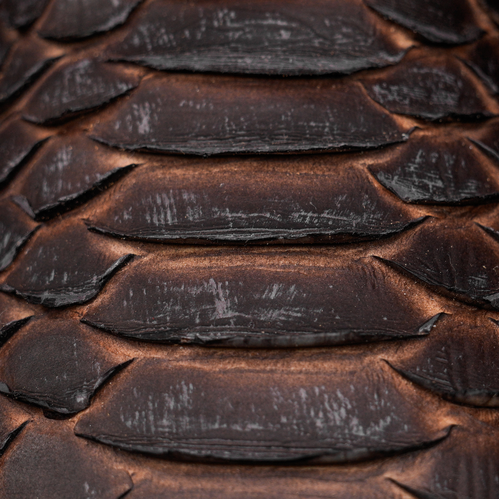 Matte Rustic Brown Python – Square Toe - Image 4
