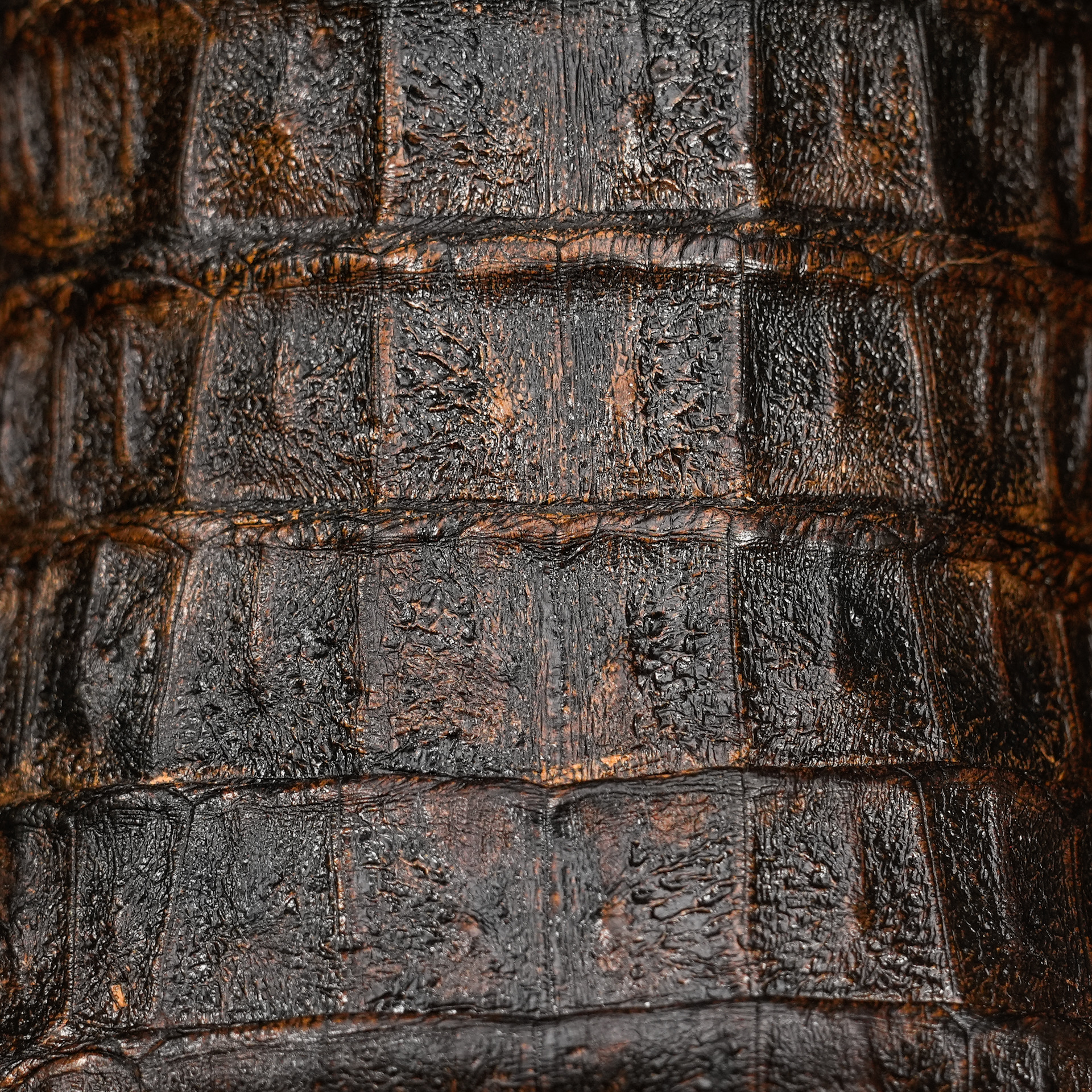 AUTHENTIC Rustic Brown Caiman Hornback – Square Toe - Image 4