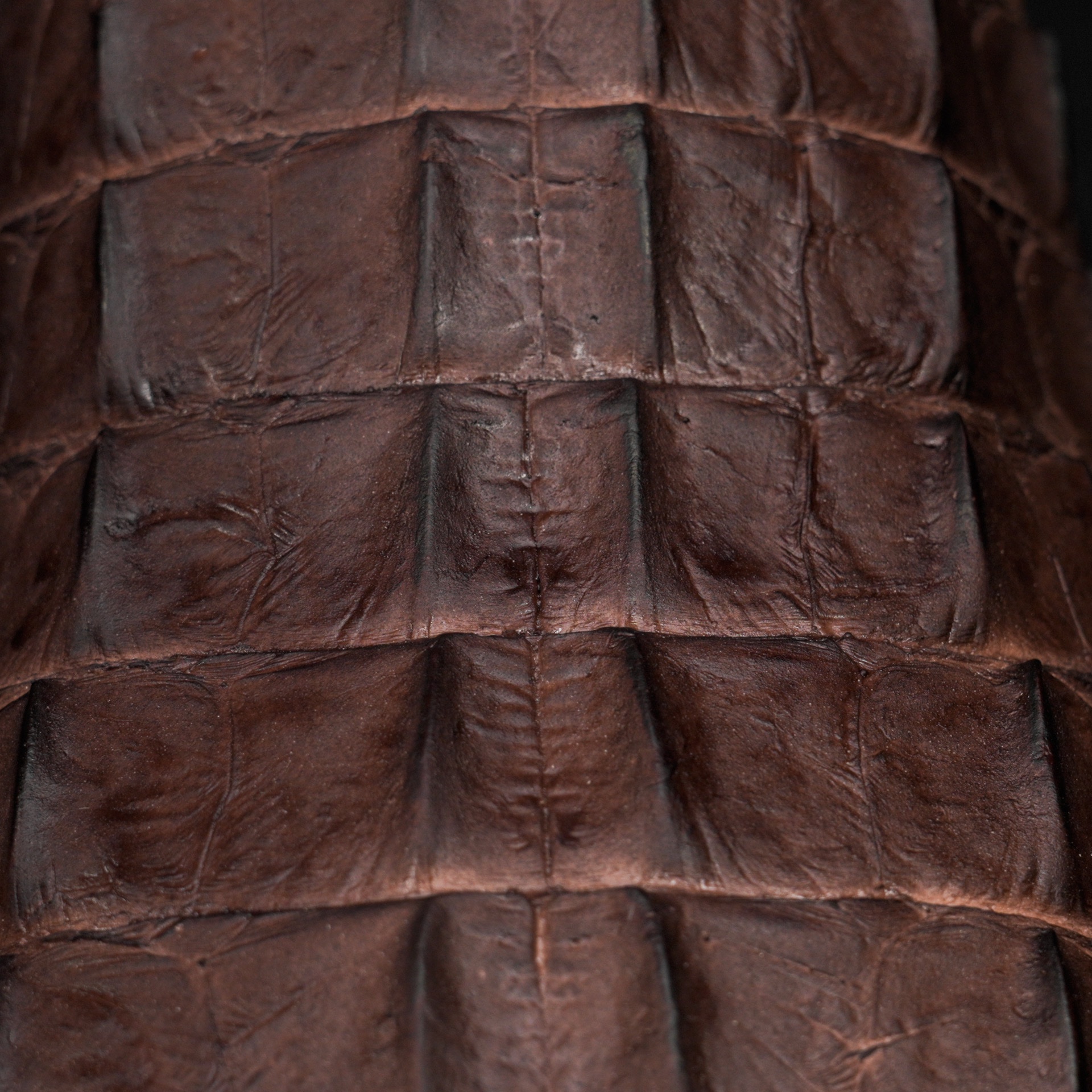 Brown American Alligator Hornback - Square Toe - Image 4