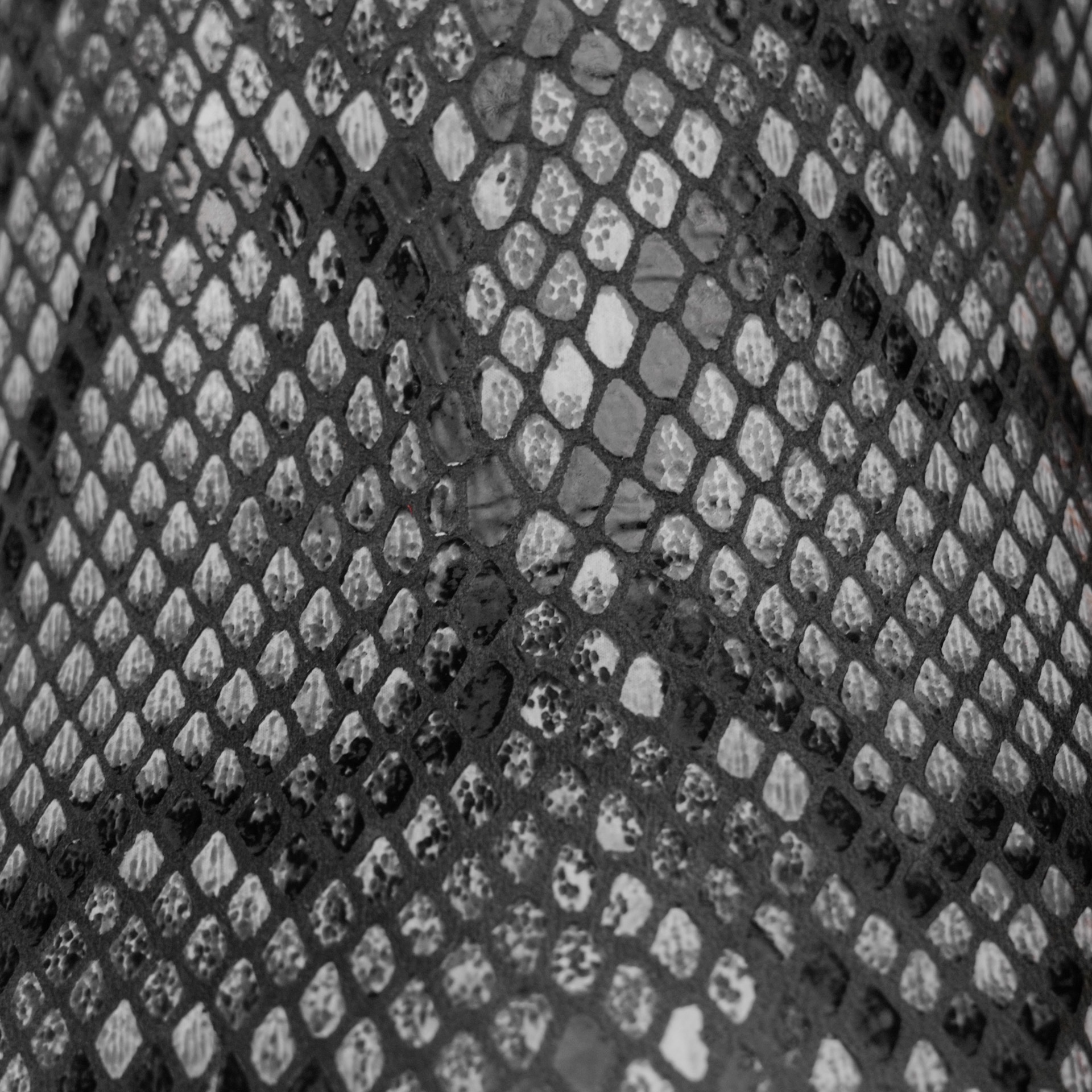 Eclipse Python Belly – Heritage Square Toe - Image 4