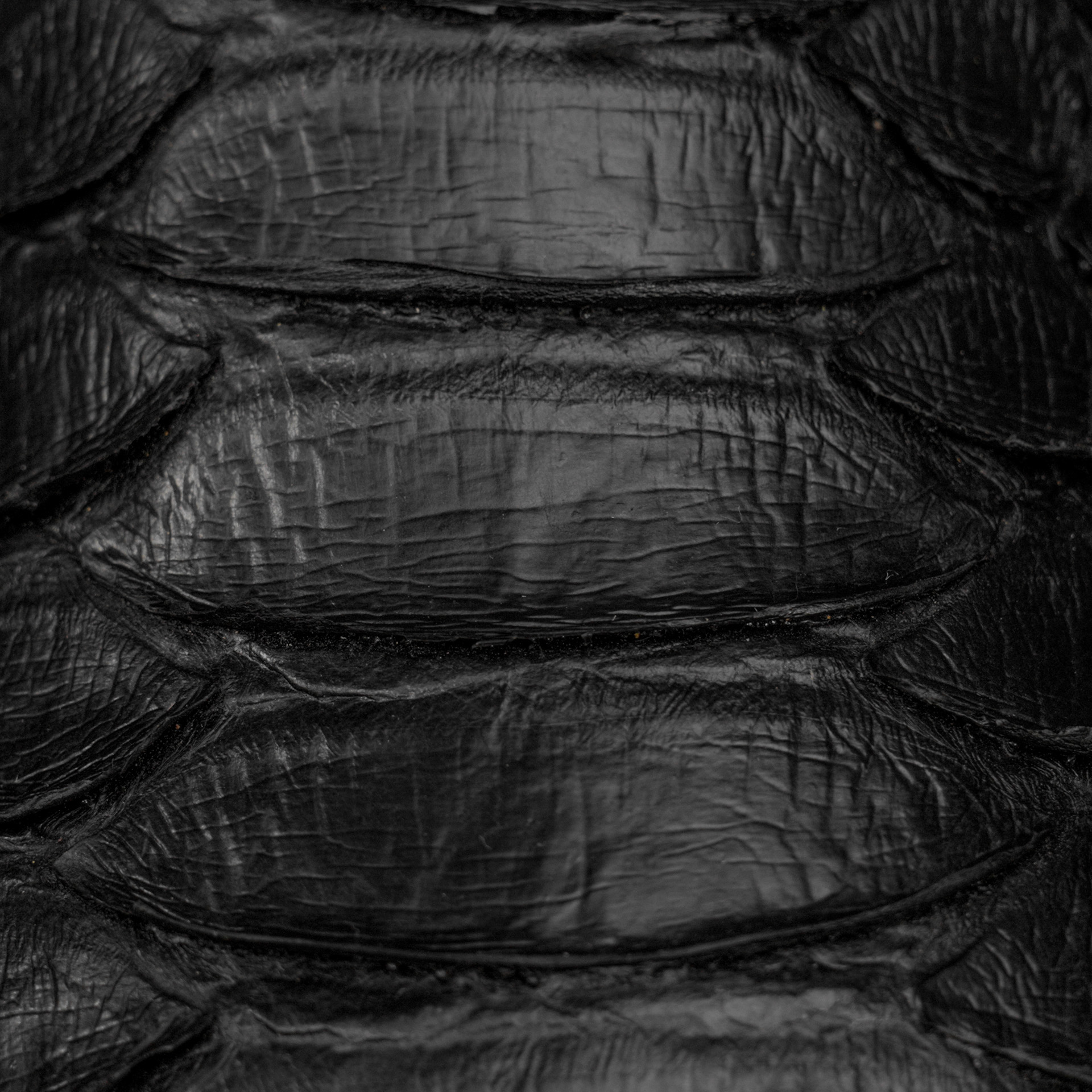 Black Giant Python – Square Toe - Image 4