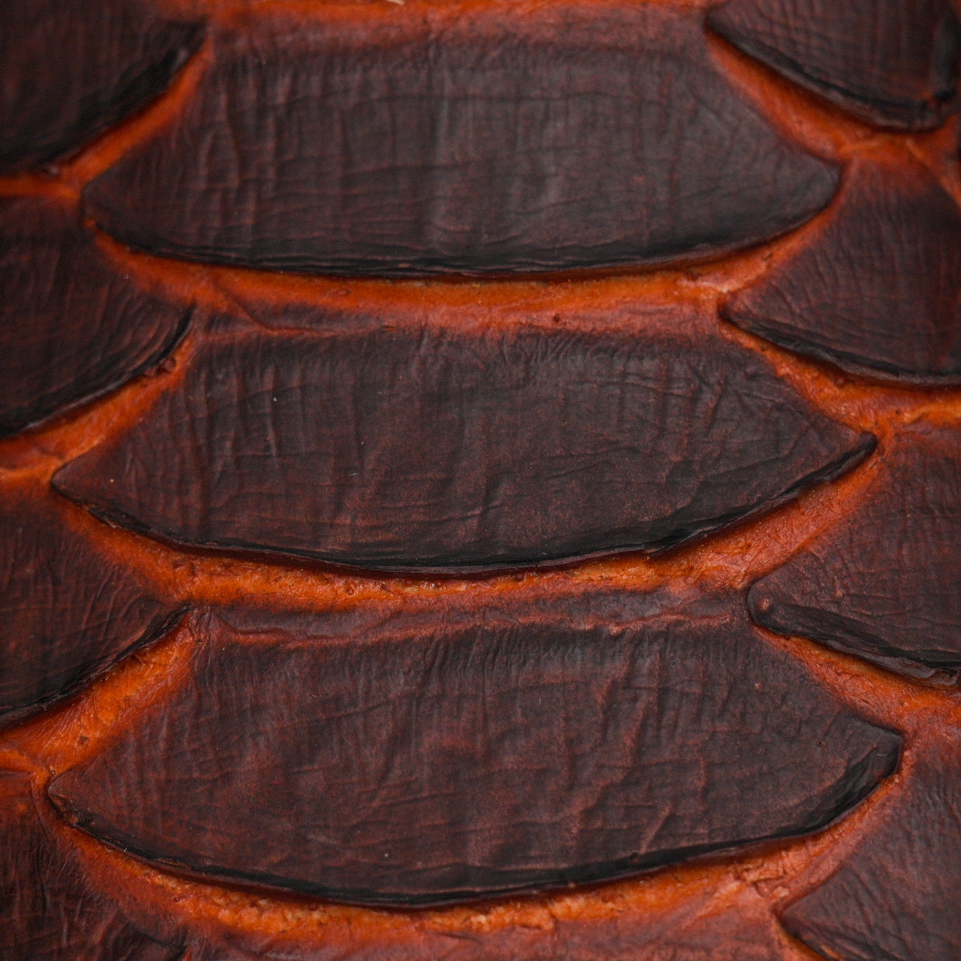 Matte Cognac Giant Python – Square Toe - Image 4