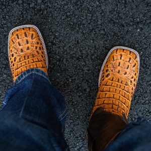 Honey Caiman Neck - Square Toe
