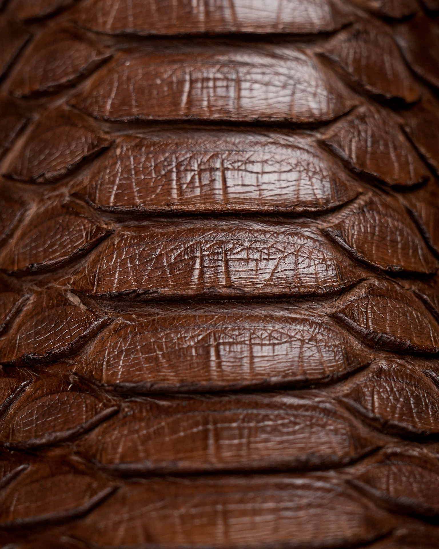 AUTHENTIC Brown Python – Arena Square Toe - Image 3