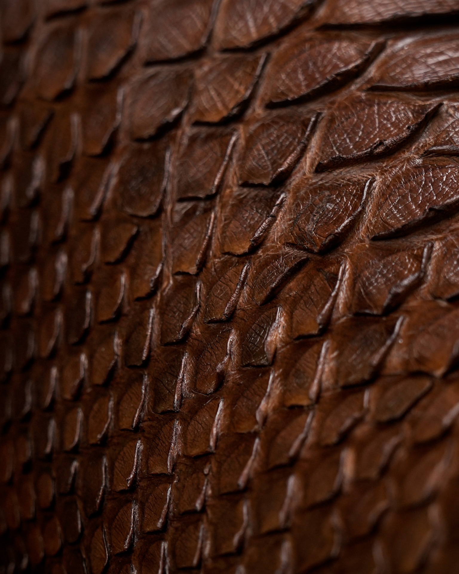 AUTHENTIC Brown Python – Arena Square Toe - Image 4