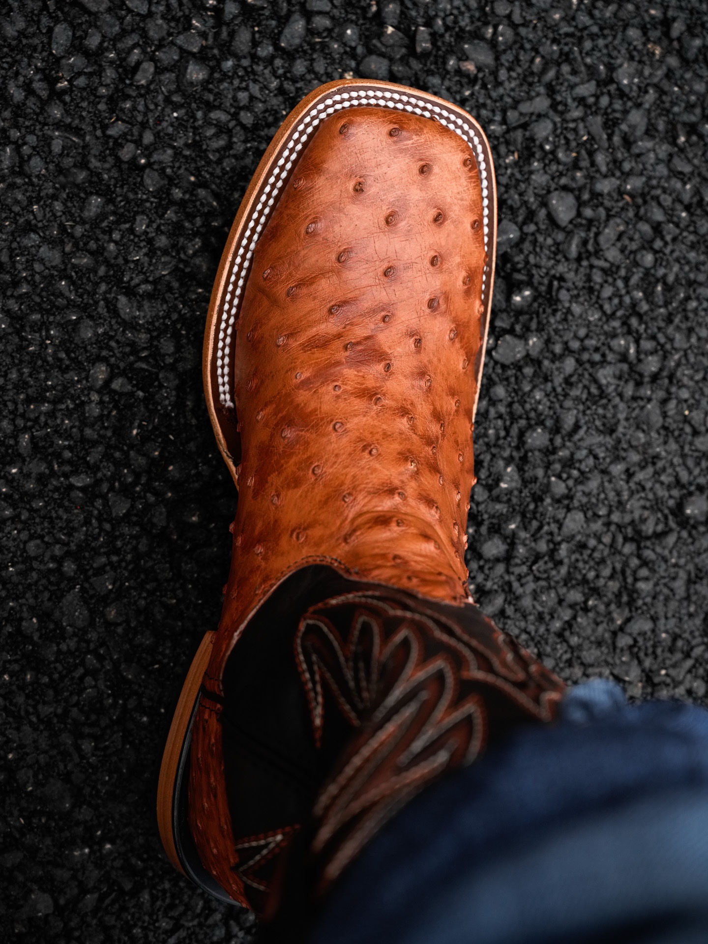 AUTHENTIC Cognac Ostrich – Arena Square Toe - Image 2