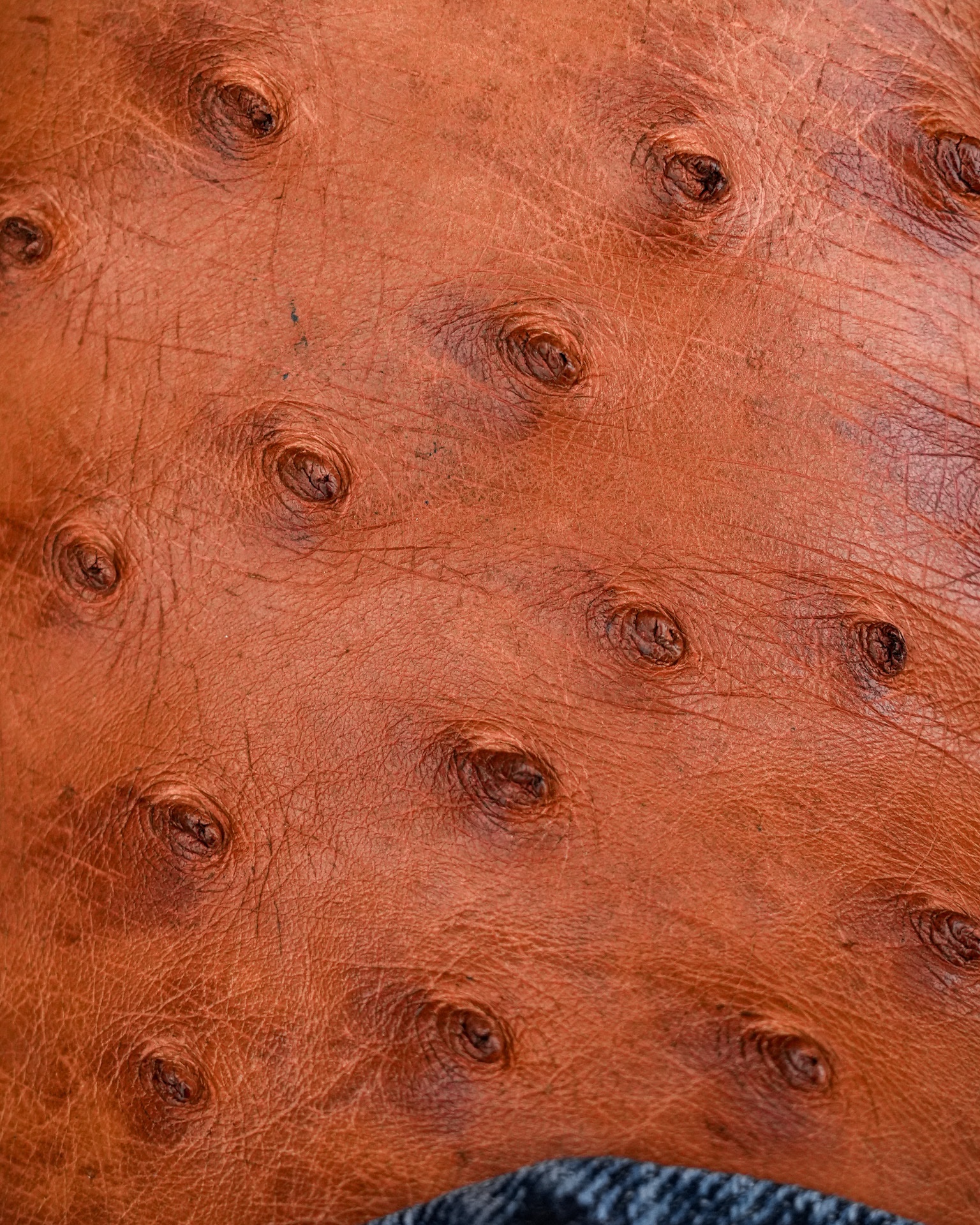 AUTHENTIC Cognac Ostrich – Arena Square Toe - Image 4