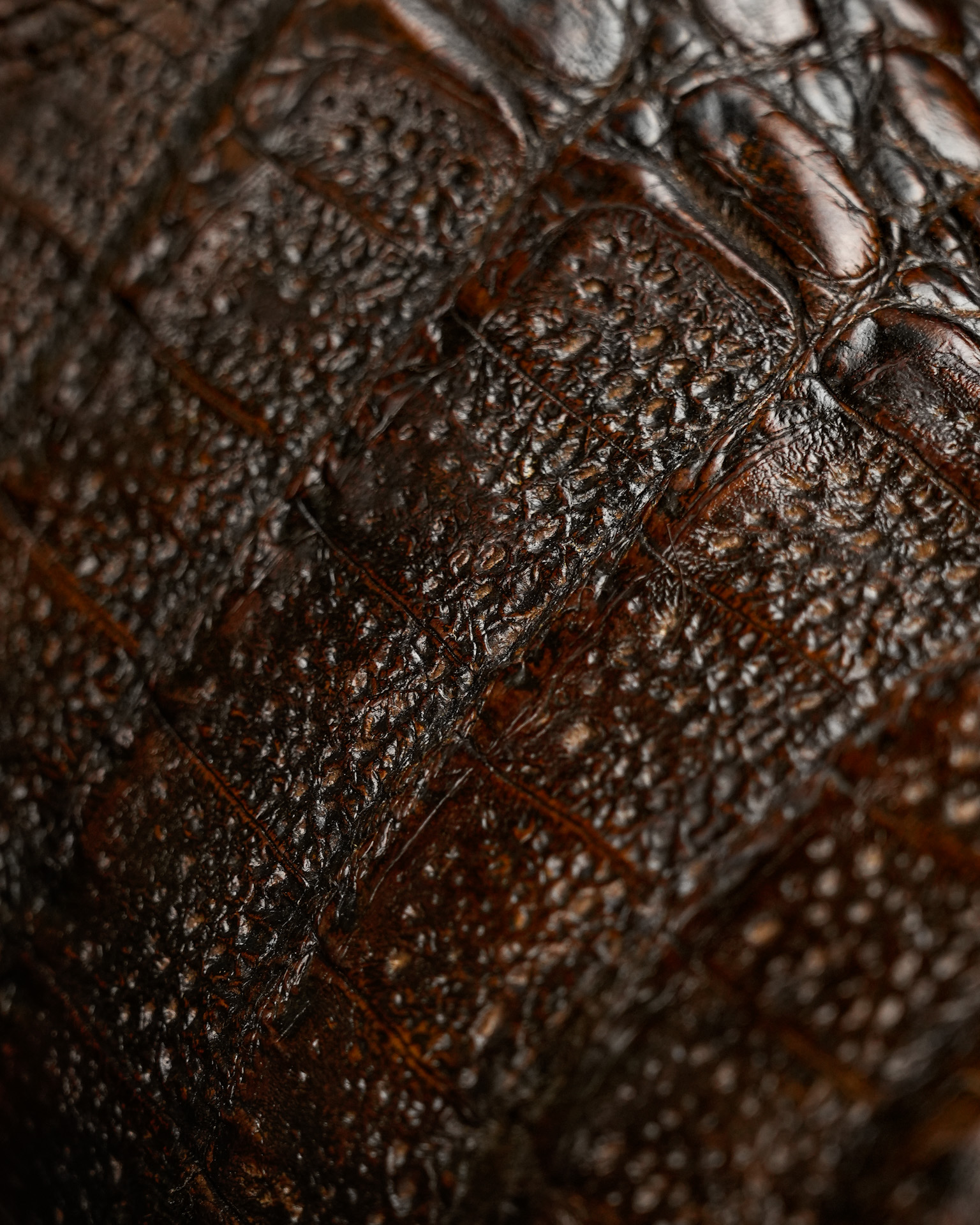 AUTHENTIC Brown Caiman Flank – Arena Square Toe - Alfa Western