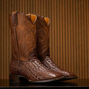 Brown Caiman Horn Back - Square Toe