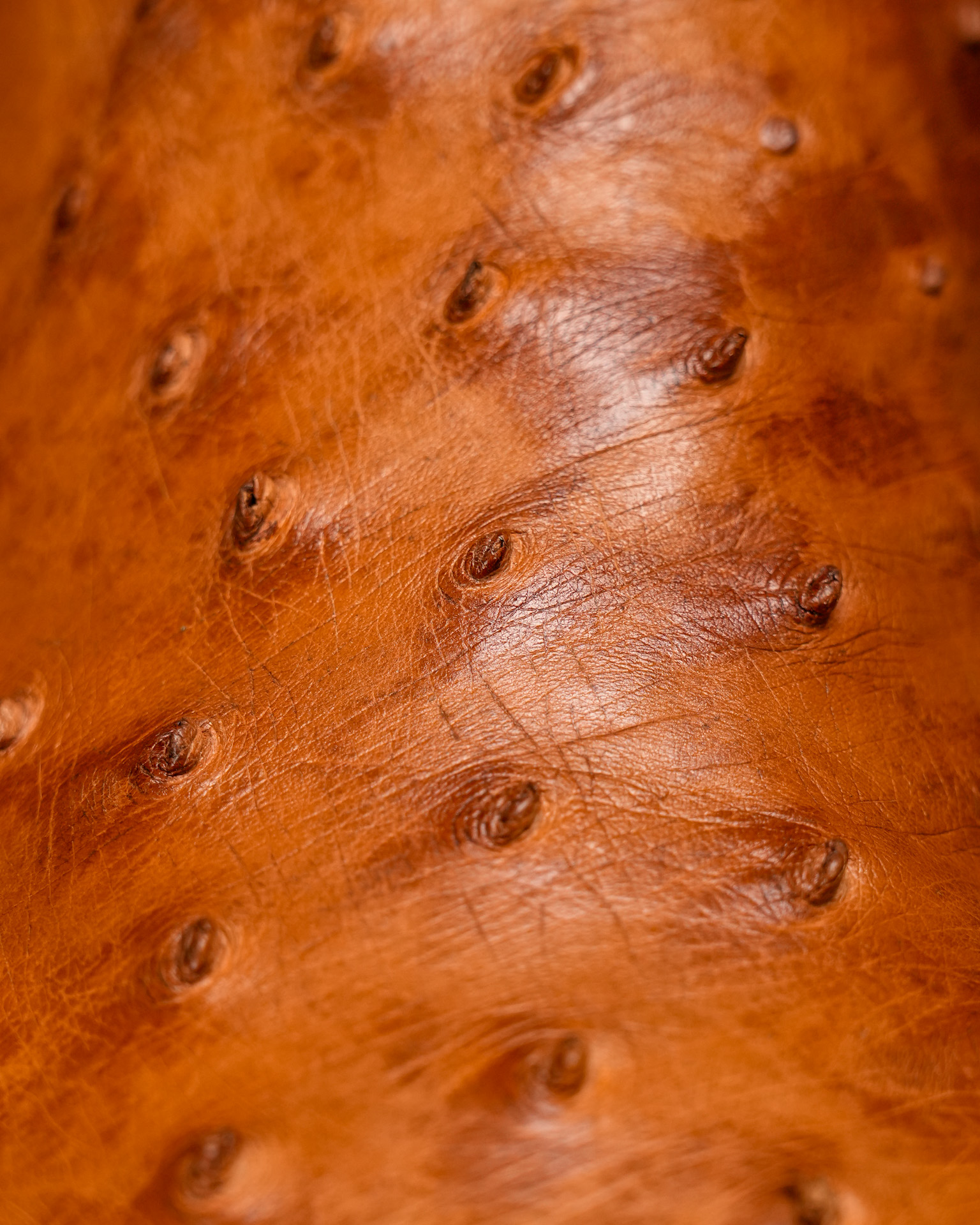 AUTHENTIC Cognac Ostrich – Arena Square Toe - Image 8