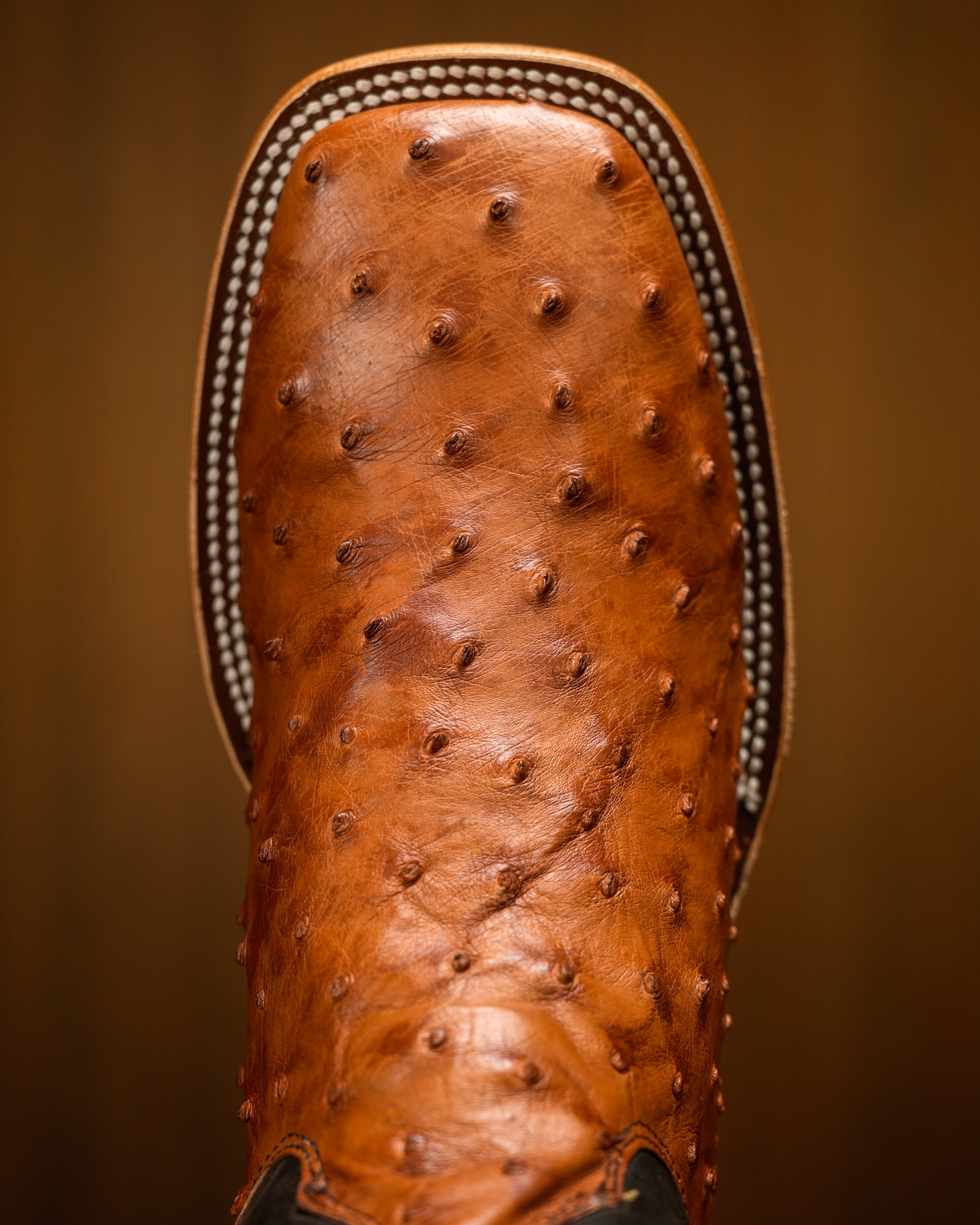 AUTHENTIC Cognac Ostrich – Arena Square Toe - Image 7