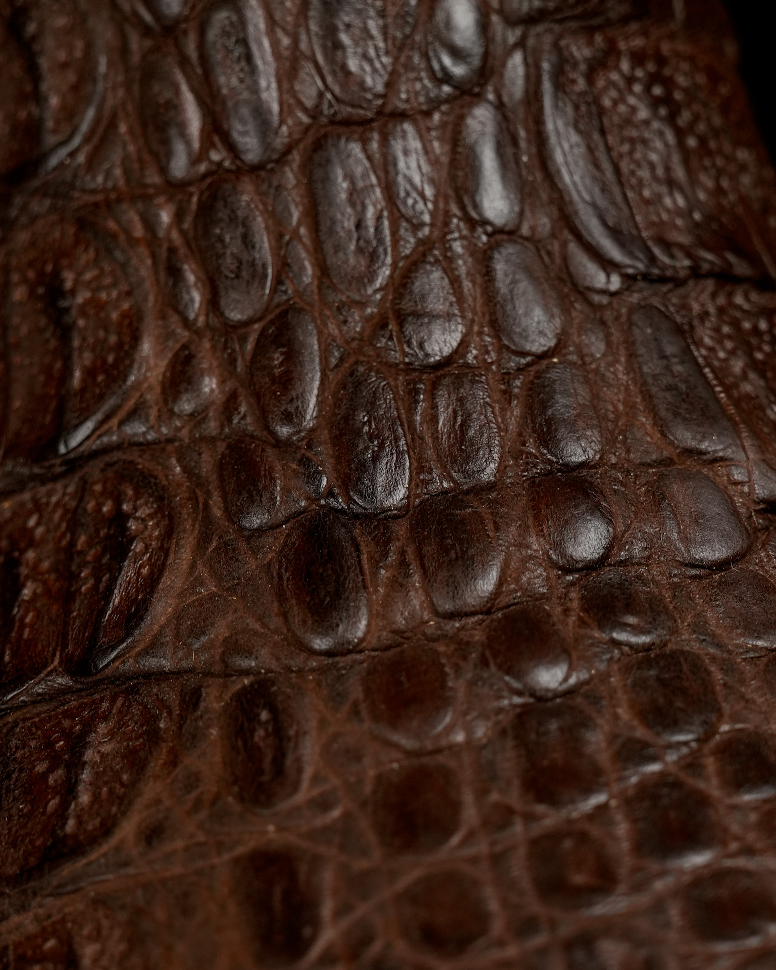 AUTHENTIC Brown Caiman Flank – Square Toe - Image 4